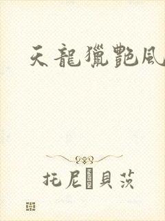 天龙猎艳风流