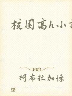 校园高h小说