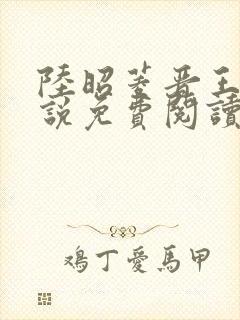 陆昭菱晋王的小说免费阅读