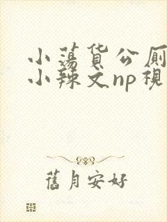 小荡货公厕h文小辣文np视频