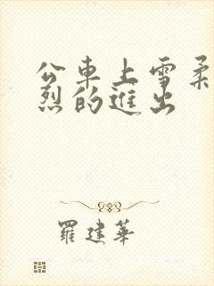 公车上雪柔被猛烈的进出