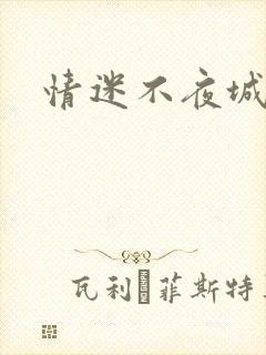 情迷不夜城