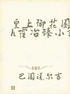 皇上御花园hlh霍冶臻小说