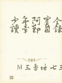 少年阿宾全文阅读章节目录