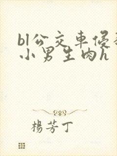 bl公交车侵犯小男生肉h