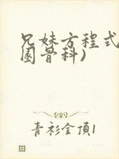 兄妹方程式(校园骨科)