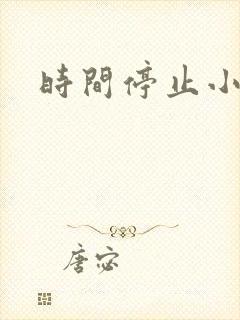 时间停止小说