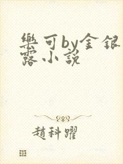 乐可by金银花露小说