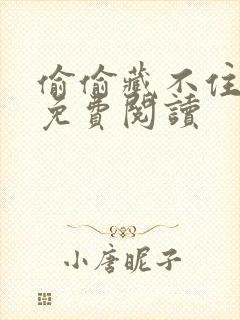 偷偷藏不住小说免费阅读