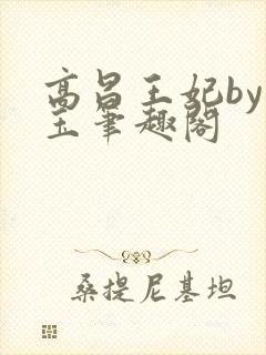 高昌王妃by黛玉笔趣阁