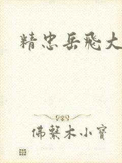 精忠岳飞大结局