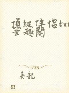 顶级伴侣txt笔趣阁