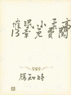 催眠小柔高达第13章免费阅读