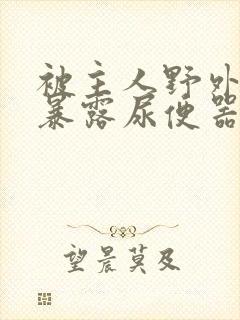 被主人野外调教暴露尿便器