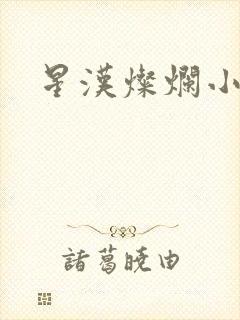 星汉灿烂小说