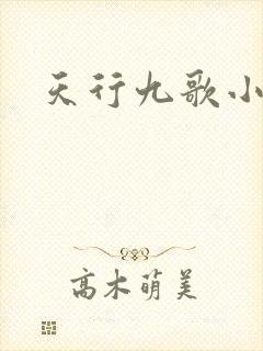 天行九歌小说