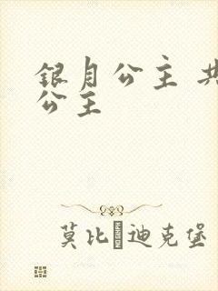 银月公主 共享公主