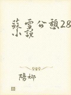 苏雪公憩28篇小说
