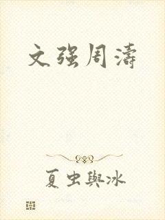 文强周涛