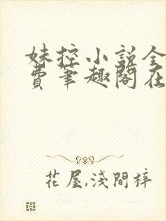 妹控小说全文免费笔趣阁在线阅读