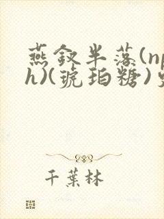 燕钗半落(nph)(琥珀糖)更新