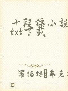 十段锦小说全本txt下载