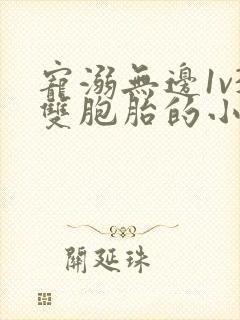 宠溺无边1v3双胞胎的小说