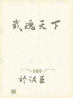武魂天下