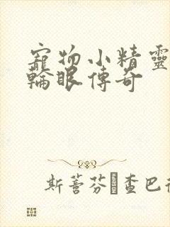 宠物小精灵之写轮眼传奇