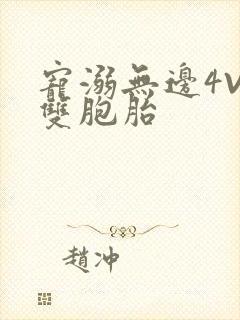 宠溺无边4V2双胞胎