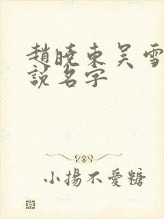 赵晓东吴雪晴小说名字
