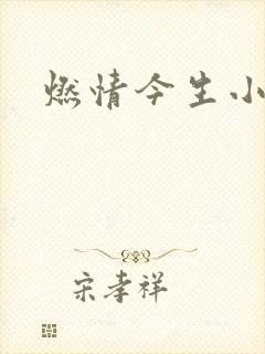 燃情今生小说