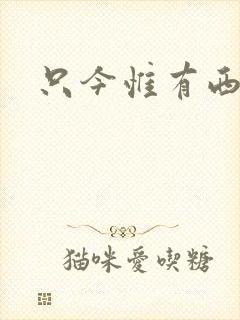 只今惟有西江月