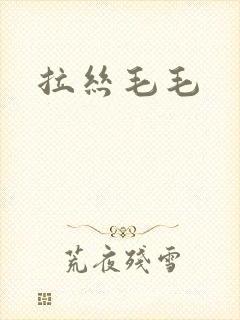 拉丝毛毛