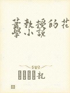萧教授的花式教学小说
