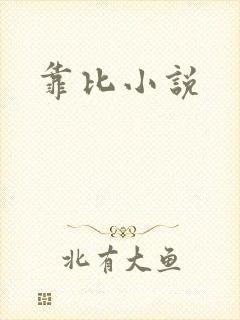 靠比小说