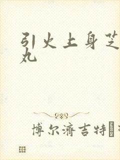 引火上身芝麻糖丸