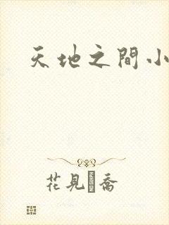 天地之间小说