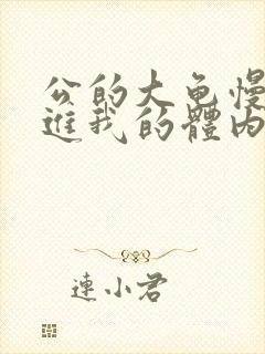 公的大龟慢慢挺进我的体内