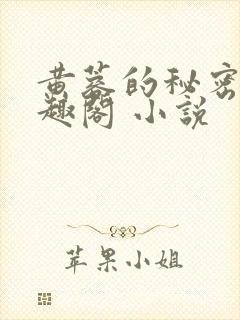 黄蓉的秘密 笔趣阁 小说