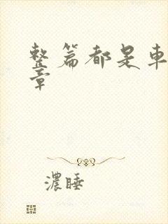 整篇都是车的文章