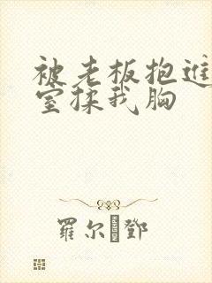 被老板抱进办公室揉我胸