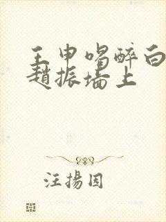 王申喝醉白洁被赵振墙上