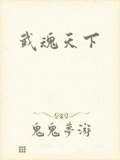 武魂天下