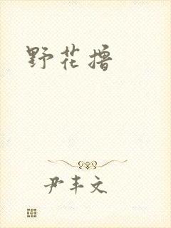 野花撸