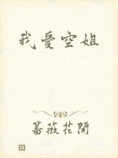 我爱空姐