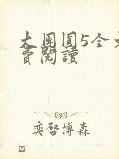 大团圆5全文免费阅读