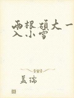 两根硕大一起挤入小雪