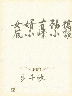 女婿有劲枪枪到底小峰小说