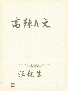 高辣h文